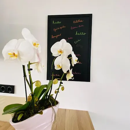 Gdl Luxury * Gödöllő